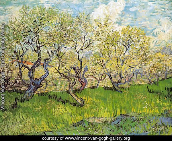 Orchard in Blossom I