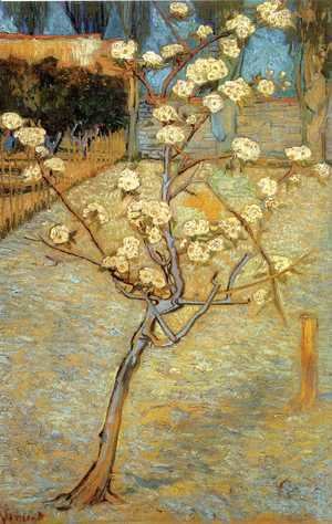 Vincent Van Gogh - Pear Tree in Blossom