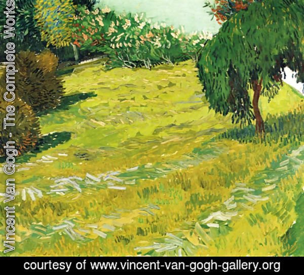 Vincent Van Gogh - Garden with Weeping Willow