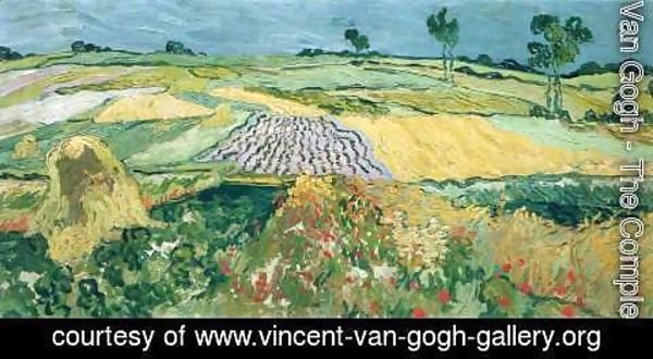 Vincent Van Gogh - Wheatfields