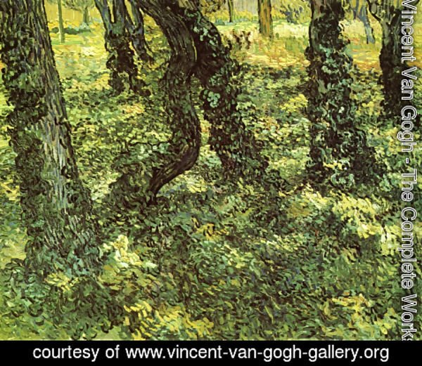 Vincent Van Gogh - Trunks of Trees with Ivy