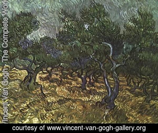 Vincent Van Gogh - The Olive Grove