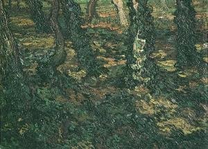Vincent Van Gogh - Troncs et lierre 1889