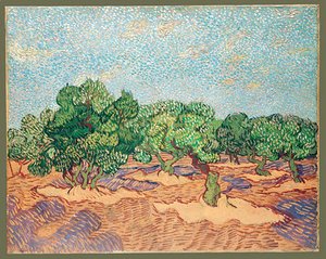 Vincent Van Gogh - Olive Orchard 1889