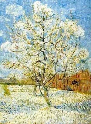 Vincent Van Gogh - The Pink Peach Tree 1 1888