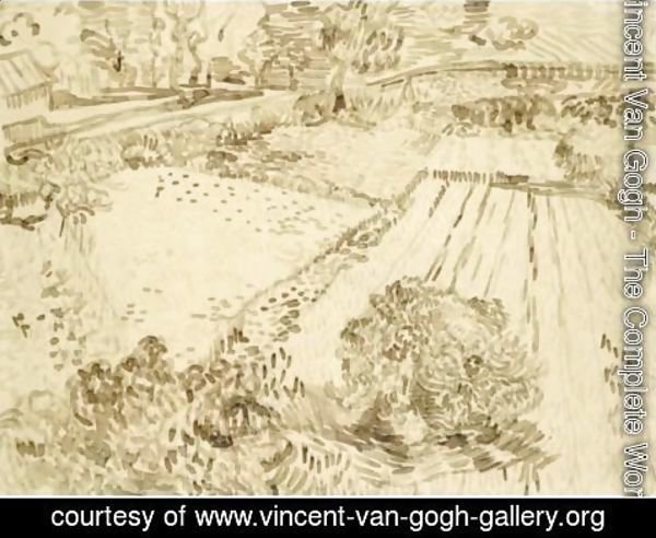 Vincent Van Gogh - Le Champ De Coquelicots
