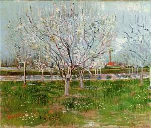 Vincent Van Gogh - Flowering Orchard