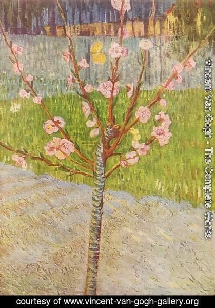 Vincent Van Gogh - Blossoming peach tree