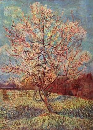 Vincent Van Gogh - Blossoming peach tree 2