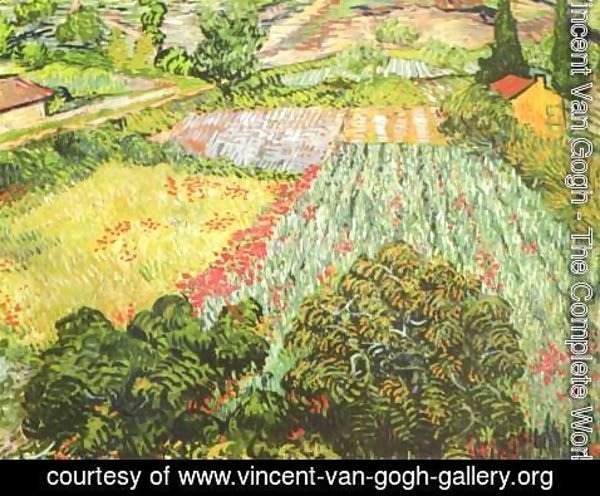 Vincent Van Gogh - The Poppy Field