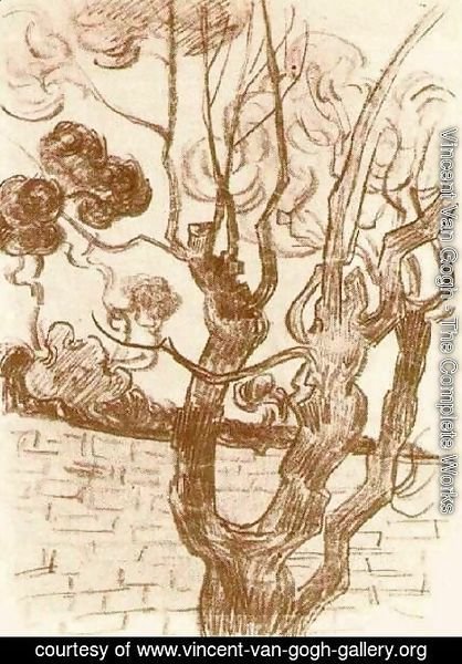 Vincent Van Gogh - Treetop Seen against the Wall of the Asylum