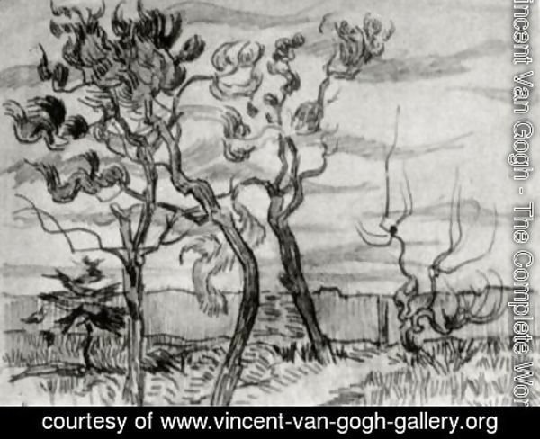 Vincent Van Gogh - Pine Trees in Front of the Wall of the Asylum