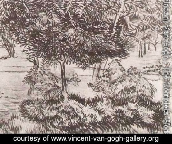 Vincent Van Gogh - Trees and Shrubs