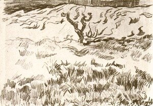 Vincent Van Gogh - Field with Bare Tree