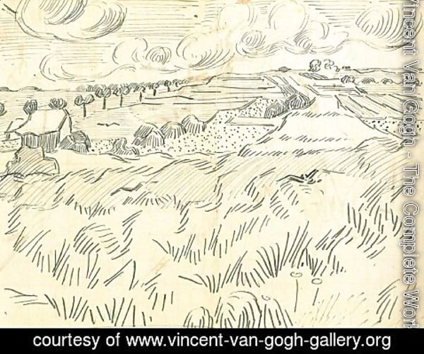 Vincent Van Gogh - Wheat Fields
