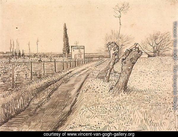 Landscape with Path and Pollard Trees