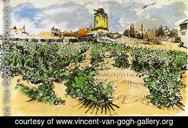 Vincent Van Gogh - The Mill of Alphonse Daudet at Fontevieille