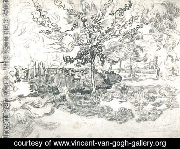 Vincent Van Gogh - Garden of the Asylum