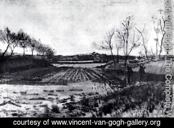 Vincent Van Gogh - Potato field behind the dunes