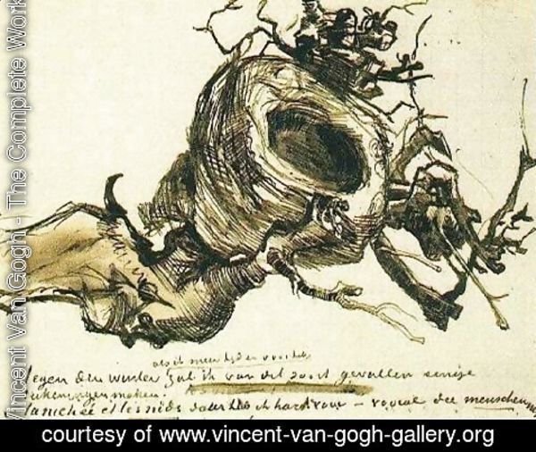 Vincent Van Gogh - Bird's Nest