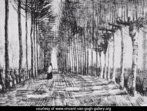 Lane with Trees and One Figure