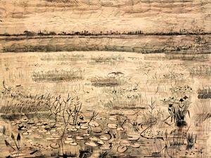 Vincent Van Gogh - Marsh with Water Lillies
