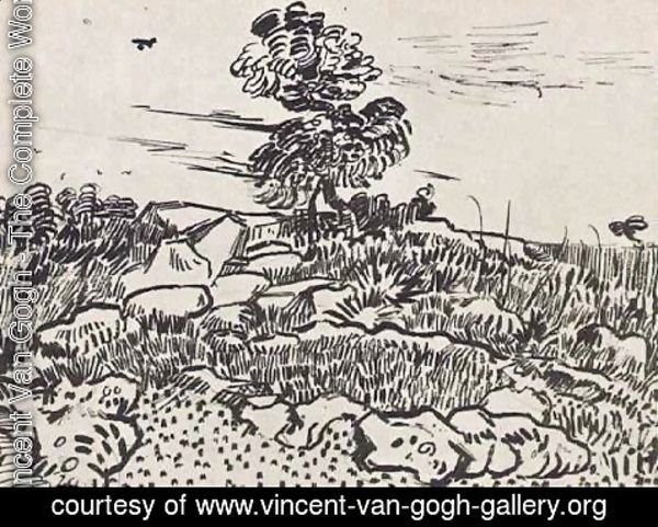 Vincent Van Gogh - Rocks with Oak Tree 2