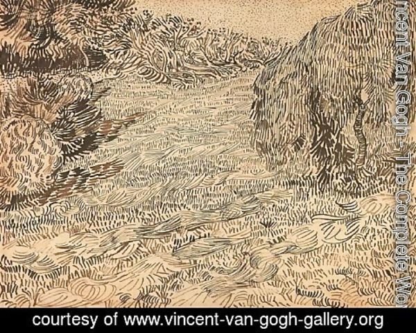 Vincent Van Gogh - Newly Mowed Lawn with Weeping Tree