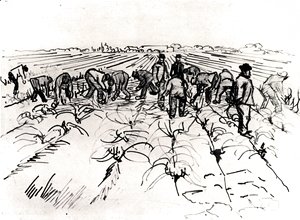 Vincent Van Gogh - Farmers Working in the Field