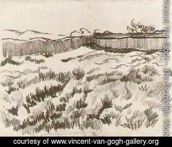 Vincent Van Gogh - Enclosed Field