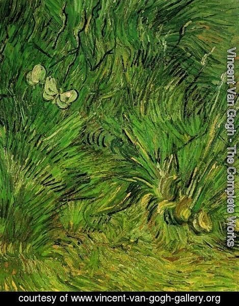 Vincent Van Gogh - Two White Butterflies 2