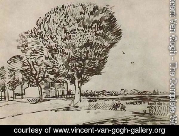 Vincent Van Gogh - Road with Trees