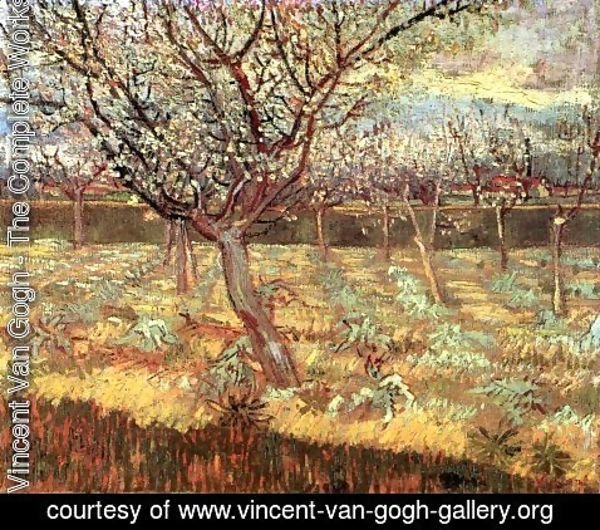 Vincent Van Gogh - Apricot Trees In Blossom II