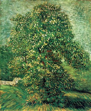 Vincent Van Gogh - Chestnut Tree In Blossom II