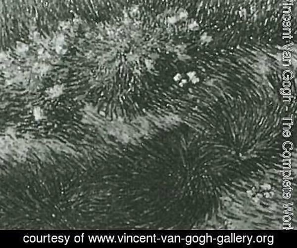 Vincent Van Gogh - Grass And Butterflies