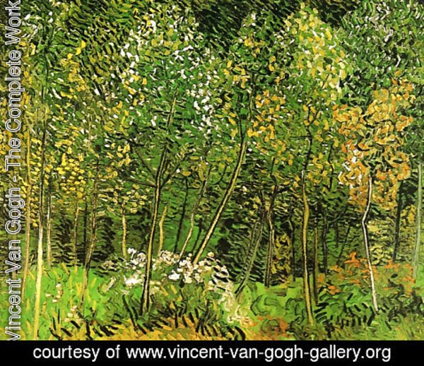 Vincent Van Gogh - The Grove