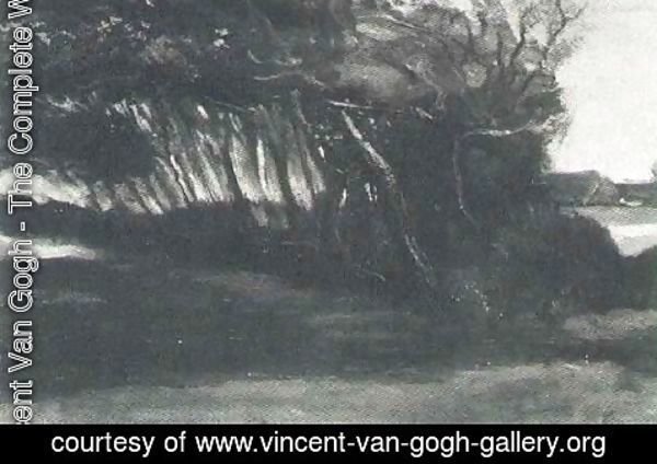 Vincent Van Gogh - Landscape With Windblown Trees