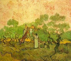 Vincent Van Gogh - Olive Picking II