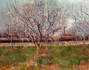 Vincent Van Gogh - Orchard In Blossom Bordered By Cypresses