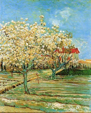 Vincent Van Gogh - Orchard In Blossom II