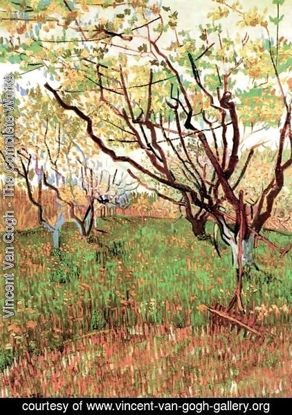Vincent Van Gogh - Orchard In Blossom III