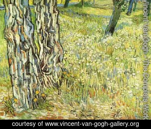 Vincent Van Gogh - Pine Trees And Dandelions In The Garden Of Saint Paul Hospital