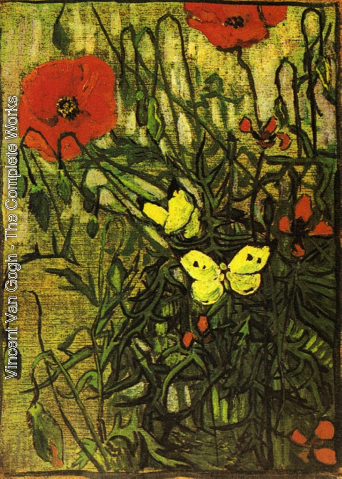 Vincent Van Gogh - Poppies And Butterflies