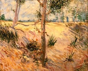 Vincent Van Gogh - Trees In A Field On A Sunny Day