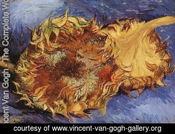 Vincent Van Gogh - Two Cut Sunflowers III