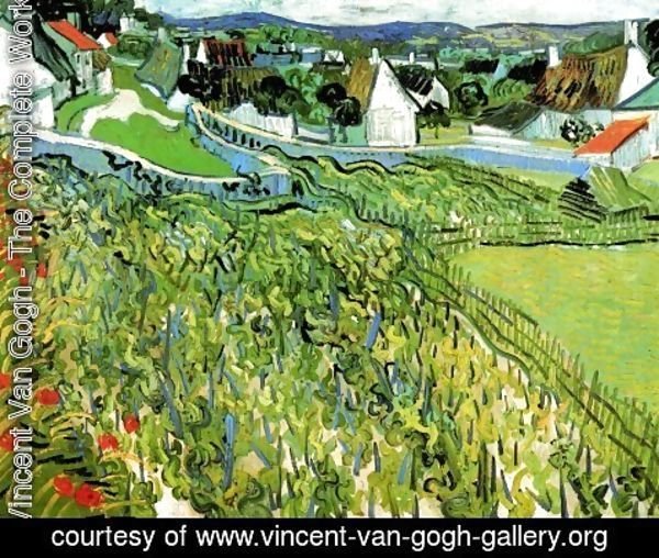 Vincent Van Gogh - Vineyards With A View Of Auvers