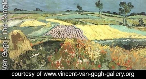 Vincent Van Gogh - Wheat Fields Near Auvers