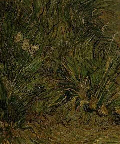 Two White Butterflies