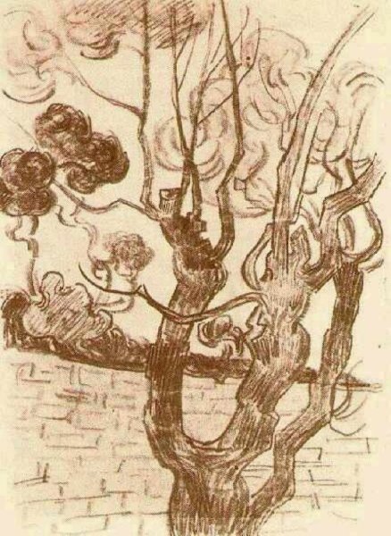 Treetop Seen against the Wall of the Asylum