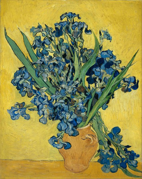 Still Life with Irises